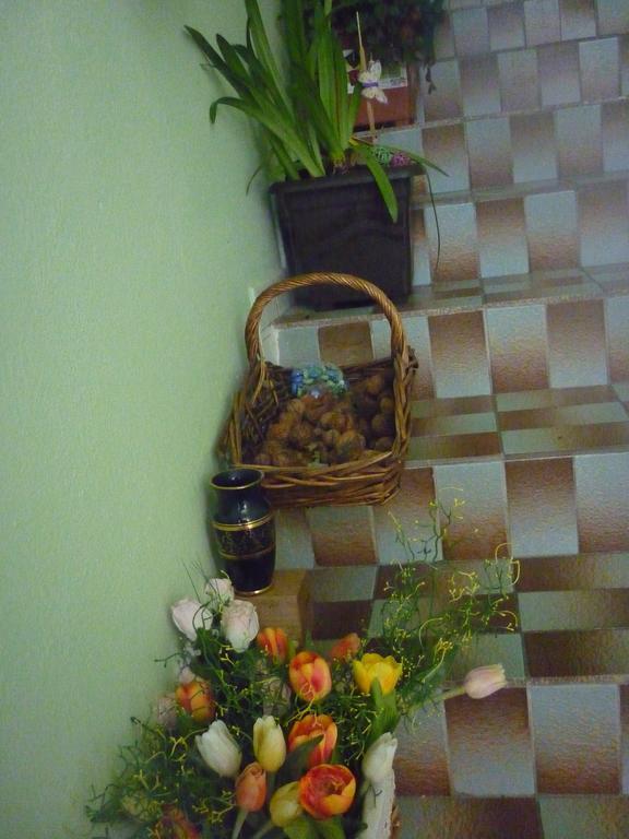 Ferienwohnung Milanna Břeclav Exterior foto